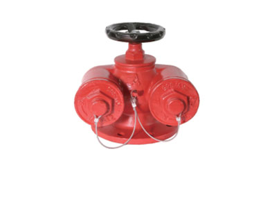 埃美柯多用式消防水泵接合器SQD150-1.6A